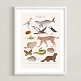"Europe, endangered animals" - Art Print in Ivory by Sabrin Deirani - Framed