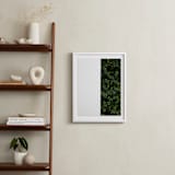 "verdant garden III" - Art Print in leaf by Sara Hicks Malone - In a Room