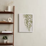 "Softness" - Art Print in Olive branch by Eliane Lamb - In a Room