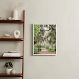 "Spanish Moss" - Art Print in Savannah Grey by Lindsay Madden - In a Room