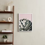 "Pink Agave" - Art Print in Blush by Wilder California - In a Room