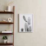 "Moorten Cactus Study 1" - Art Print in Silver Grey by Lisa Sundin - In a Room