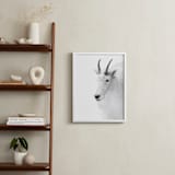 "Fierce" - Art Print in Mountain Granite by Jamie Lollback - In a Room