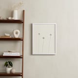 "Dandelions" - Art Print in Ivory by Jorey Hurley - In a Room