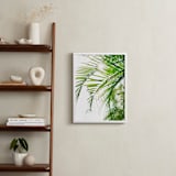 "Palm 3" - Art Print in color by Kamala Nahas - In a Room