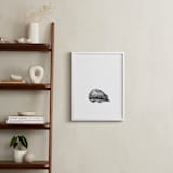 "pétit hérisson" - Art Print in Black by IMG_101 - In a Room