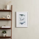 "Ocean Whales" - Art Print in Ocean Blue by Alice Nelen - In a Room