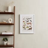 "Europe, endangered animals" - Art Print in Ivory by Sabrin Deirani - In a Room