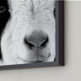 "Pawnee" - Art Print in Black and White by Leslie Le Coq - Frame Close-up