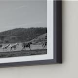 "wild wild west II" - Art Print in Western Grey by Sara Hicks Malone - Frame Close-up