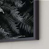 "Ferns" - Art Print in black and white by Eliane Lamb - Frame Close-up