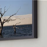"Life cycle 1" - Art Print in Blue by Eliane Lamb - Frame Close-up