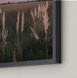 "Pampas grass" - Art Print in Sunset by Lucia Coppola - Frame Close-up