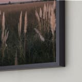 "Pampas grass" - Art Print in Sunset by Lucia Coppola - Frame Close-up