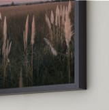 "Pampas grass" - Art Print in Sunset by Lucia Coppola - Frame Close-up