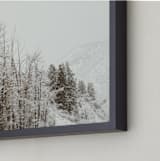 "argentum pair I" - Art Print in bark by Kamala Nahas - Frame Close-up