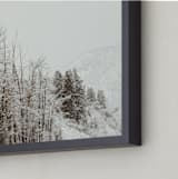 "argentum pair I" - Art Print in bark by Kamala Nahas - Frame Close-up