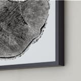 "Tree Rings pt. 1" - Art Print in Black by Mackenzie Darrach - Frame Close-up