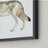 "Wolf Watercolour Study" - Art Print in Olive Taupe by Eve Schultz - Frame Close-up