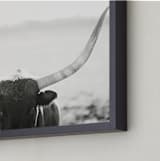 "Staredown" - Art Print in Soft Black by Amy Carroll - Frame Close-up