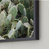 "A Cancun Cactus" - Art Print in Cactus Green by Kelsey McNatt - Frame Close-up
