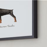 "Doberman Pinscher" - Art Print in Black by Megan Kelso - Frame Close-up