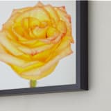 "Minimalist Beauty 2" - Art Print in Orange Yellow by Mary Ann Glynn-Tusa - Frame Close-up