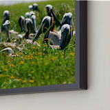 "Pelican Island" - Art Print in Island Green by AJD - Frame Close-up