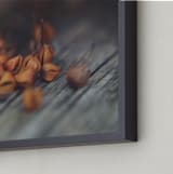 "Seed I" - Art Print in washed wood grey by Stacy Cooke - Frame Close-up