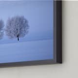 "Morning's Light" - Art Print in First Light by Leslie Le Coq - Frame Close-up