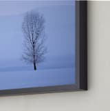 "Break Of Day" - Art Print in Morning's Light by Leslie Le Coq - Frame Close-up