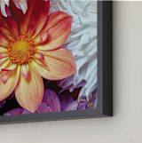 "Dahlia Mix II" - Art Print in Color Array by A MAZ Design - Frame Close-up