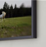 "Unicorn Pony" - Art Print in Grass by Meghan Benge - Frame Close-up