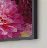 "Pink Dahlia" - Art Print in Pink Array by A MAZ Design - Frame Close-up