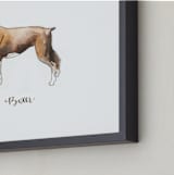 "Boxer" - Art Print in Brown by Megan Kelso - Frame Close-up