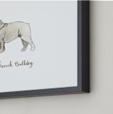 "French Bulldog Breed" - Art Print in White by Megan Kelso - Frame Close-up
