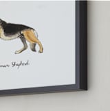 "German Shepherd" - Art Print in Brown by Megan Kelso - Frame Close-up