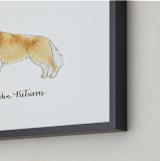 "Golden Retriever" - Art Print in Golden by Megan Kelso - Frame Close-up