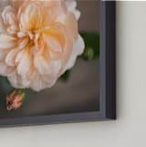 "English Garden Rose" - Art Print in Peachy by Ilze Lucero - Frame Close-up