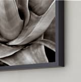 "Garden In Santaluz 01" - Art Print in sepia tone by GLEAUX Art Photo Design - Frame Close-up