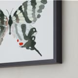 "Zebra Swallowtail" - Art Print in ebony by Betty Hatchett - Frame Close-up