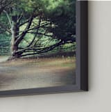 "The Haunted Wood" - Art Print in Forest Green by Gray Star Design - Frame Close-up