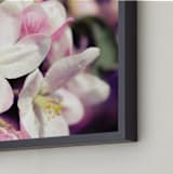 "Watercolour Apple Blossoms" - Art Print in Apple Blossom Pink by Katrina Lindhorst - Frame Close-up