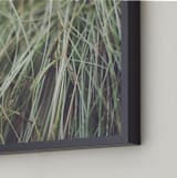 "GRASS" - Art Print in natural green by Stacy Cooke - Frame Close-up
