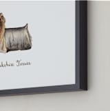 "Yorkshire Terrier" - Art Print in Brown by Megan Kelso - Frame Close-up