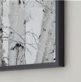 "Snowy Birch" - Art Print in Snow by Melanie Severin - Frame Close-up