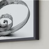 "Natures Curves" - Art Print in black and white by Alexis Arnold - Frame Close-up
