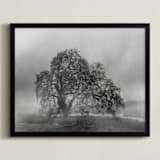"in the rain" - Art Print in Stormy by Crystal Lynn Collins - Framed