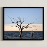 "Life cycle 1" - Art Print in Blue by Eliane Lamb - Framed