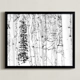 "Colorado Winter Pine" - Art Print in Black and White by Jake Belvin - Framed